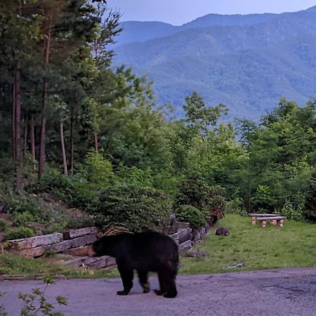 Real Log Cabin With Amazing Views, Hot Tub, Sauna, Games ガトリンバーグ エクステリア 写真