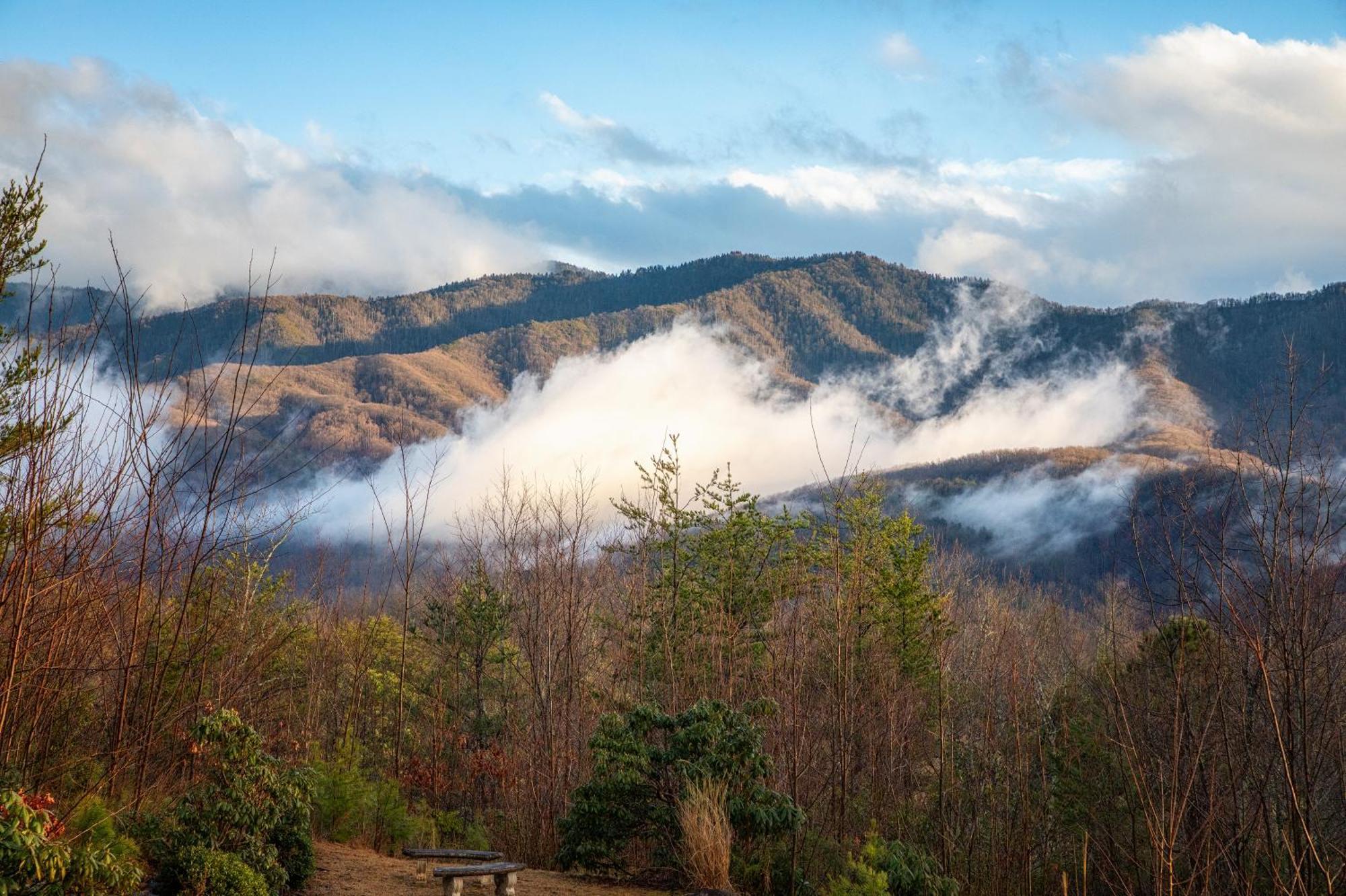 Real Log Cabin With Amazing Views, Hot Tub, Sauna, Games ガトリンバーグ エクステリア 写真