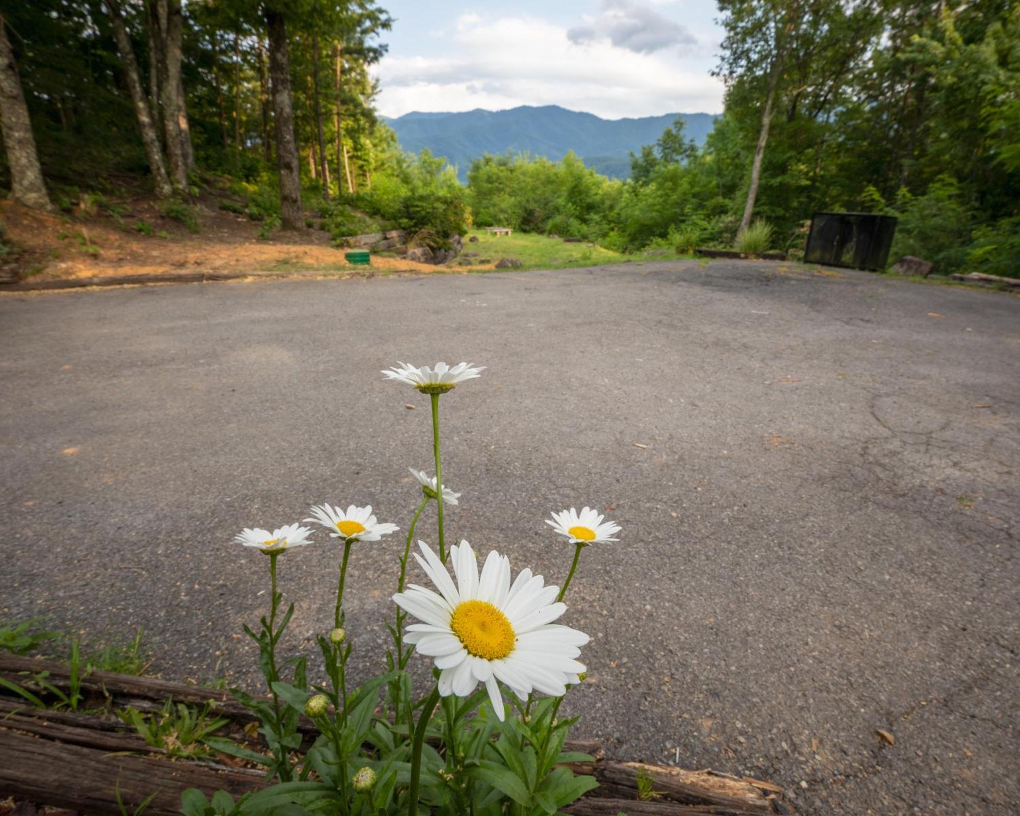 Real Log Cabin With Amazing Views, Hot Tub, Sauna, Games ガトリンバーグ エクステリア 写真